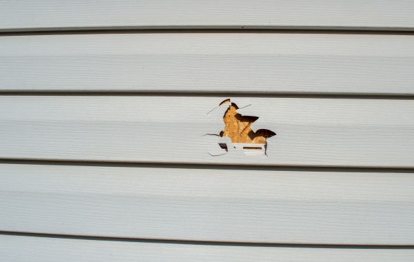 Cost of Siding Hole Patching in Pensacola