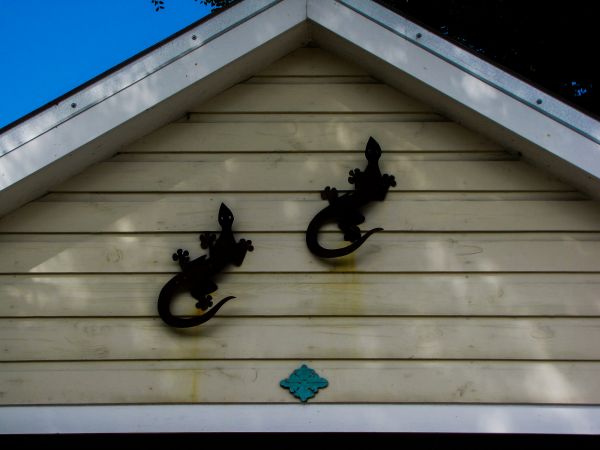 Cost of Shiplap Siding Installation in Pensacola