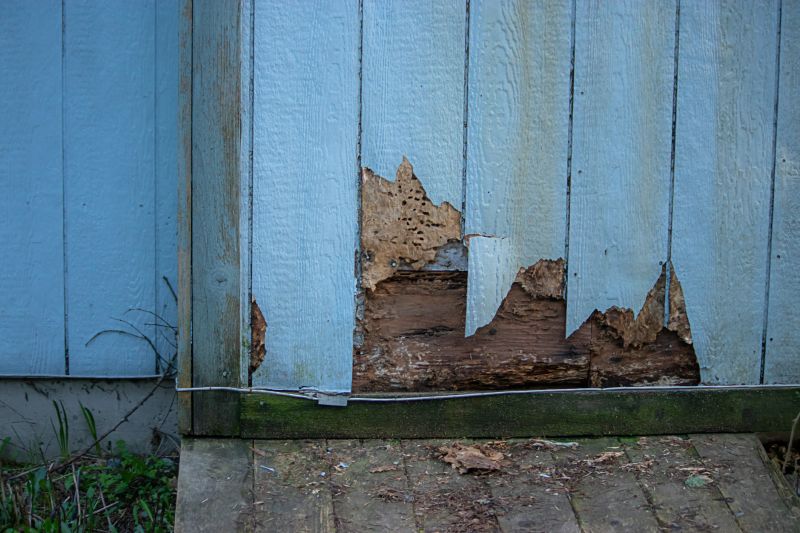 Repairing Siding Damage
