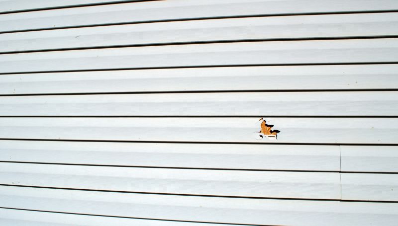 Maintaining Siding Condition